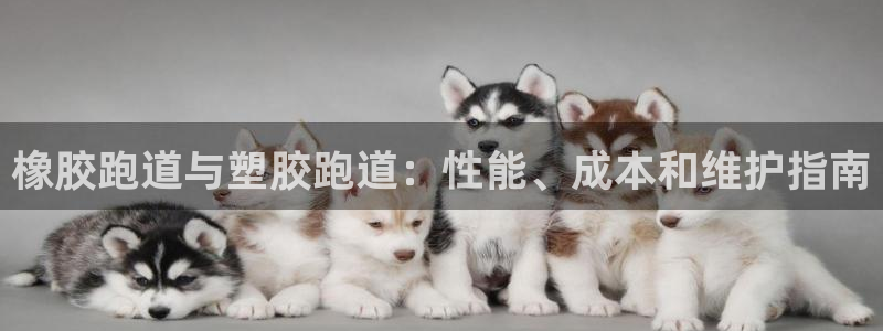 尊龙凯时论坛