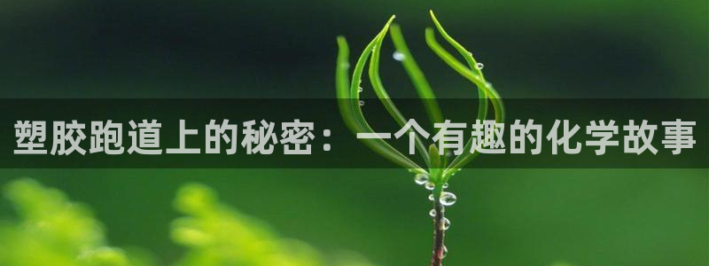 尊龙凯时网娱乐最新版下载
