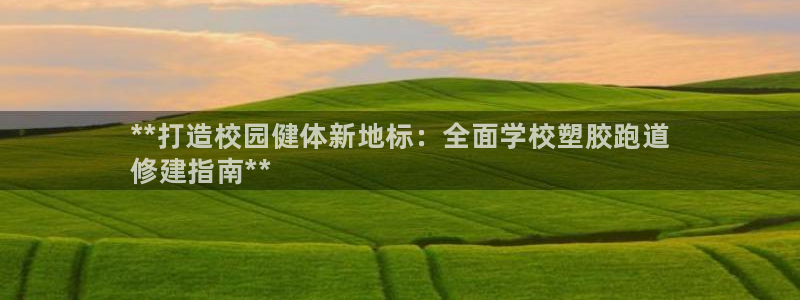 尊龙凯时平台信誉怎样：**打造校园健体新地标：全面学校塑胶跑
