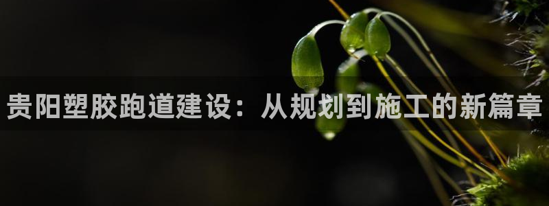 尊龙一人生就是博尊