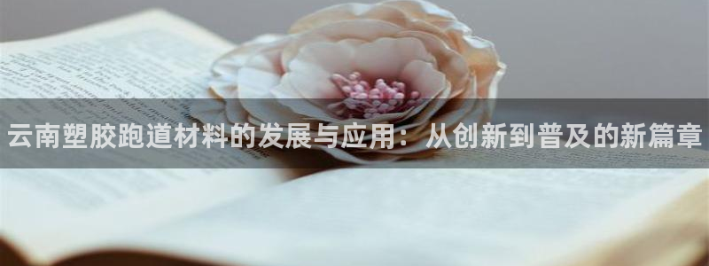 尊龙凯时旗舰厅官网