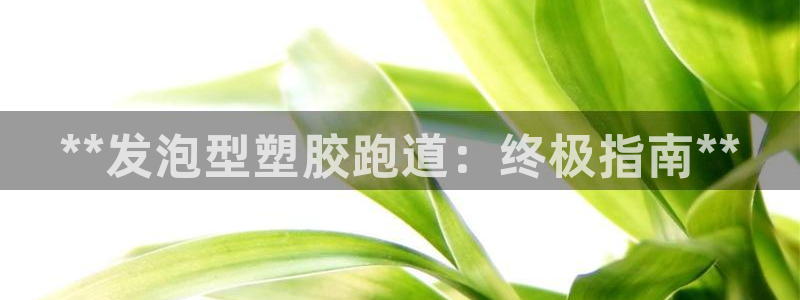 尊龙app最新版本官网：**发泡型塑胶跑道：终极指南**