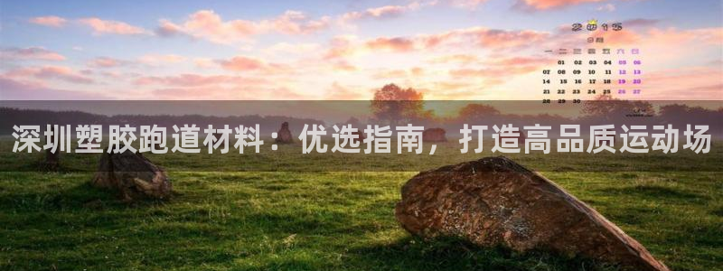 尊龙凯时为什么不封：深圳塑胶跑道材料：优选指南，打造高品质运
