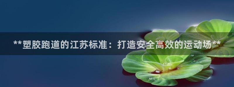 尊龙t300和t400哪个好：**塑胶跑道的江苏标准：打造安全高效的运动场**