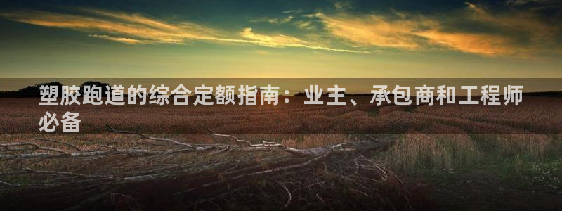 凯时k8官网首页：塑胶跑道的综合定额指南：业主、承包商和工程师
必备