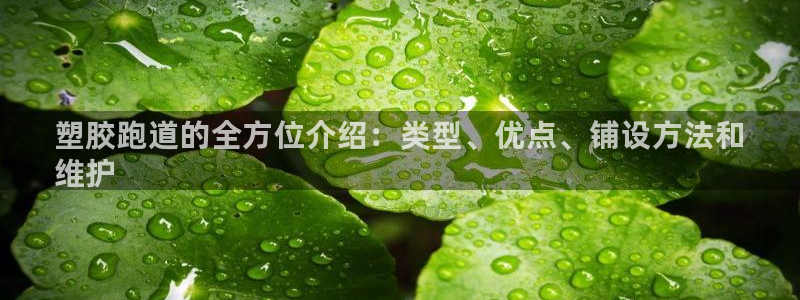 尊龙人生就是博ag旗舰厅：塑胶跑道的全方位介绍：类型、优点、铺设方法和
维护