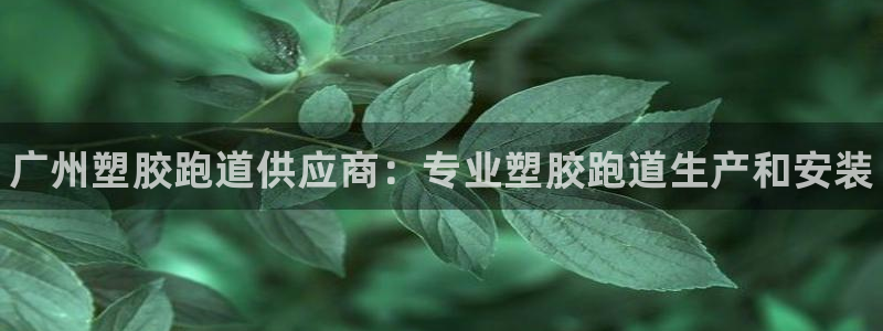 尊龙凯时麻将胡了：广州塑胶跑道供应商：专业塑胶跑道生产和安装