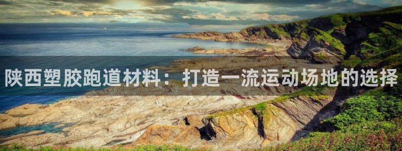 尊龙凯时网：陕西塑胶跑道材料：打造一流运动场地的选择