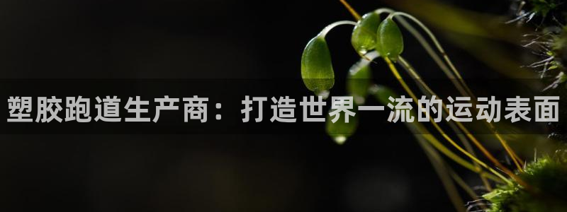 尊龙人生就是博登录网址下载：塑胶跑道生产商：打造世界一流的运动表面