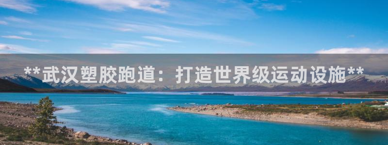 尊龙凯时账号异常审核提不了款怎么办：**武汉塑胶跑道