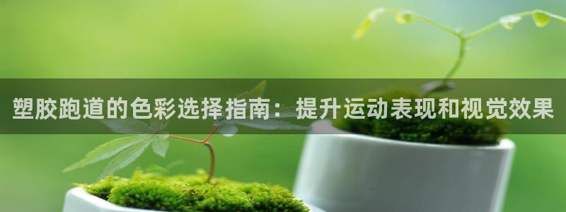 尊龙凯时白家乐