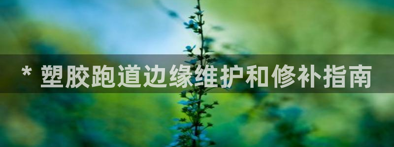 尊龙t600怎么样：* 塑胶跑道边缘维护和修补指南