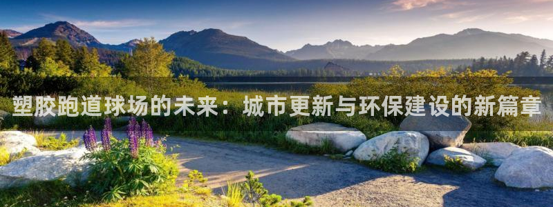 尊龙集团有限公司官网：塑胶跑道球场的未来：城市更新与