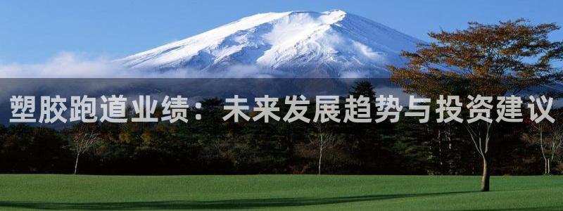 尊龙凯时怎么样没听说过：塑胶跑道业绩：未来发展趋势与投资建议