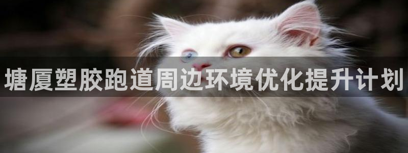 尊龙凯时是大平台吗：塘厦塑胶跑道周边环境优化提升计划